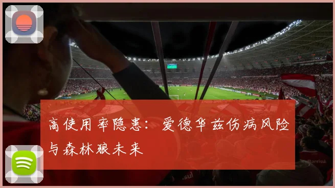 高使用率隐患：爱德华兹伤病风险与森林狼未来