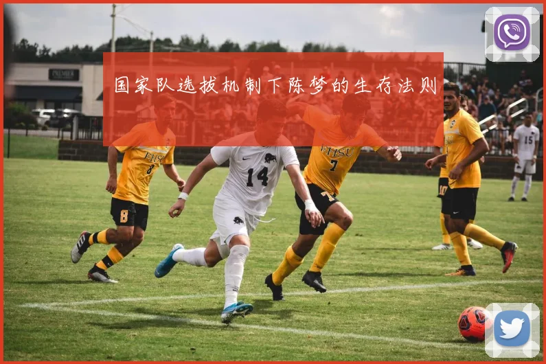 国家队选拔机制下陈梦的生存法则