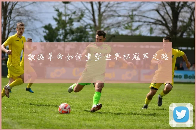 数据革命如何重塑世界杯冠军之路