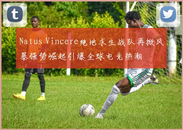 Natus Vincere绝地求生战队再掀风暴强势崛起引爆全球电竞热潮