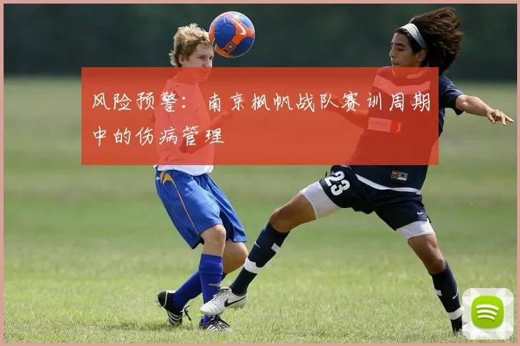 风险预警：南京枫帆战队赛训周期中的伤病管理
