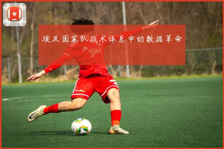 埃及国家队战术体系中的数据革命