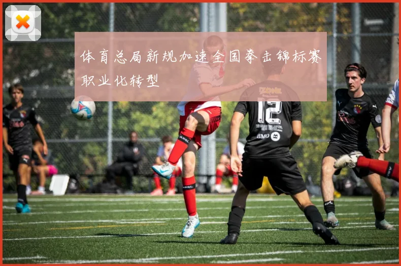 体育总局新规加速全国拳击锦标赛职业化转型