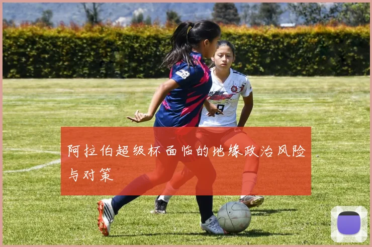 阿拉伯超级杯面临的地缘政治风险与对策