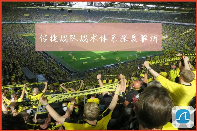 信捷战队战术体系深度解析