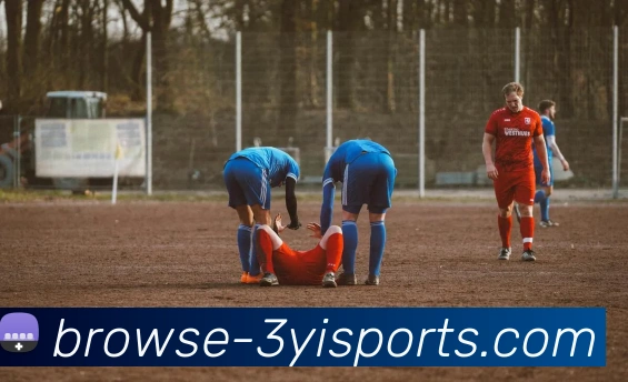 三亿官网平台生态图